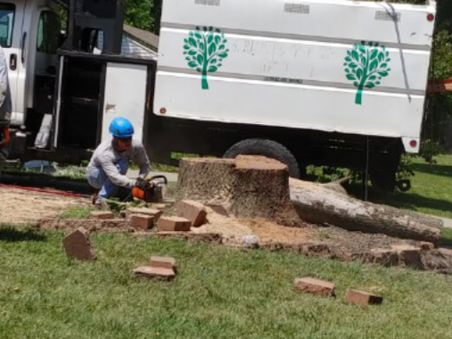 Stump Grinding Independence, Kansas City, MO & Kansas City, KS